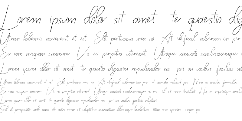 Sample of Bilyardeis