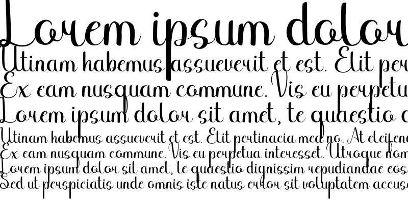 Sample of Binttang Selfianto