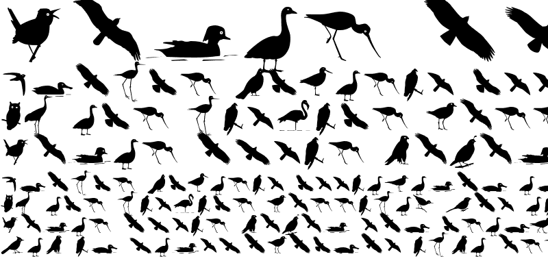 Sample of Bird Silhouettes reverse Regular