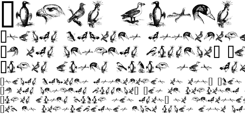 Sample of birds a