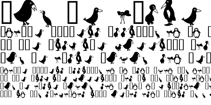 Sample of Birds