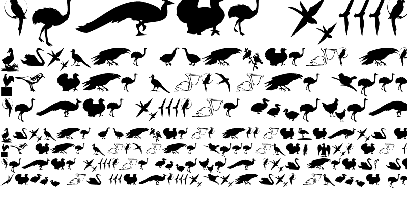 Sample of BirdsOThree