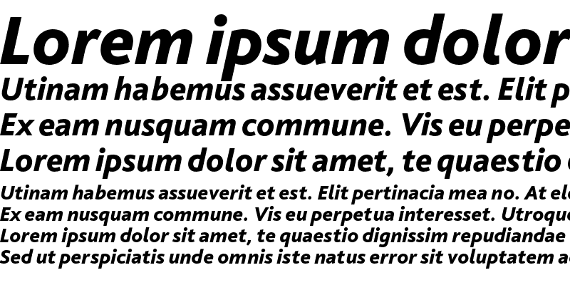 Sample of Bliss Pro Heavy Italic