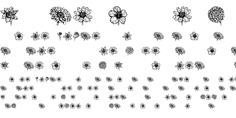 Sample of Blumen Regular