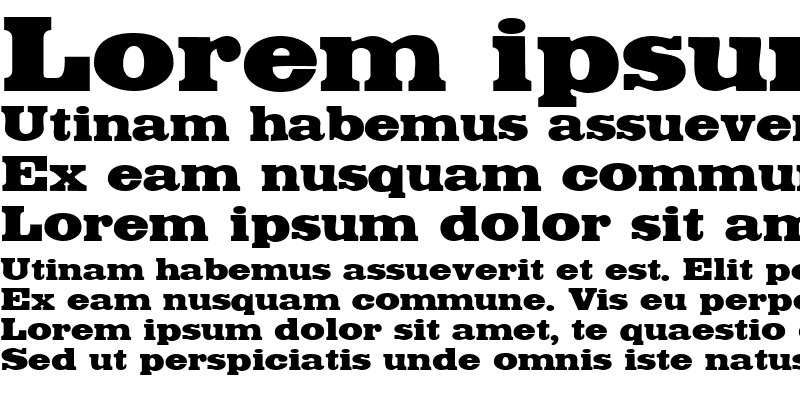 Sample of BodegaDisplaySSi