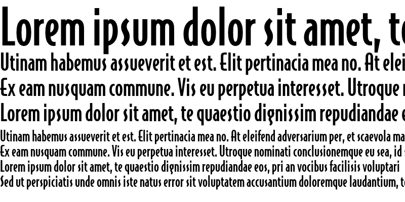 Sample of BodegaSans-MediumOldstyle