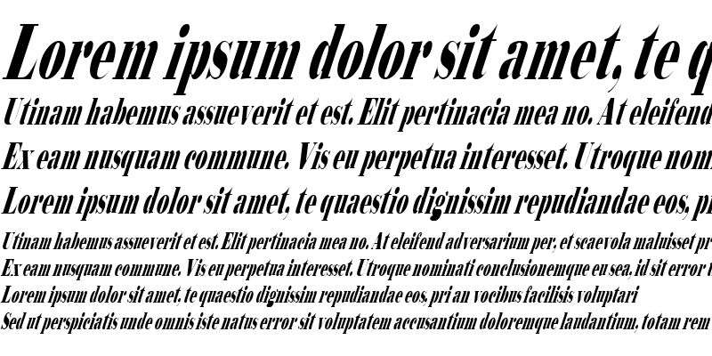 Sample of Bodidly Italic