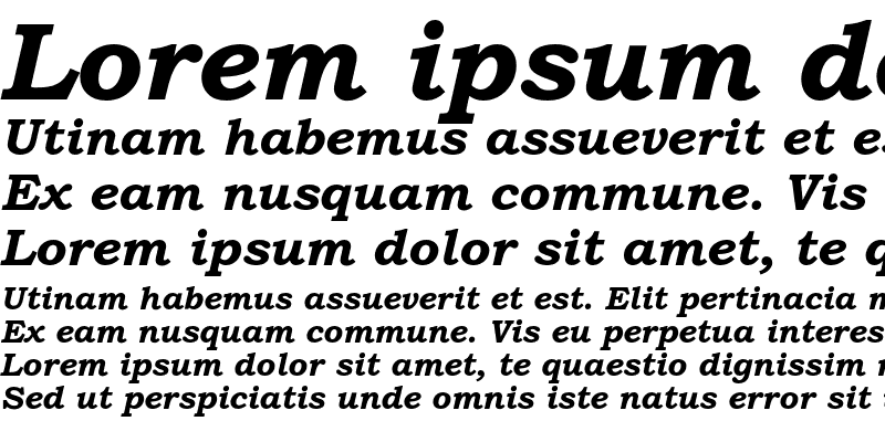 Sample of Bookman Old Style Std Bold It