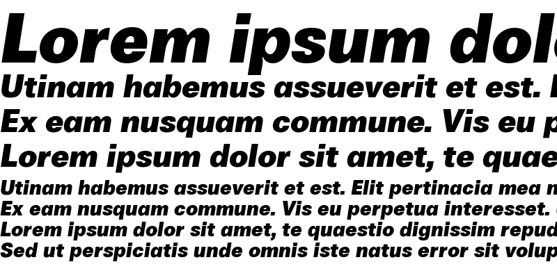 Sample of Boring Sans A Trial Heavy Italic