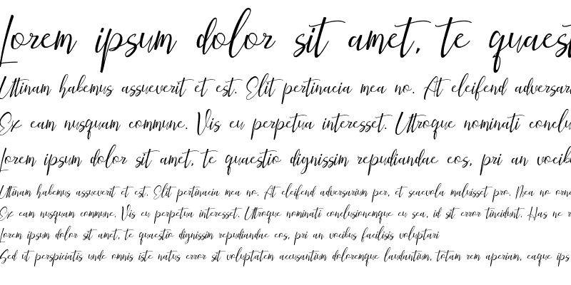 Sample of Bqtrack Script