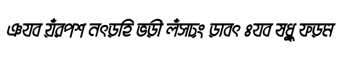 Preview of BrahmaputraMJ Bold Italic