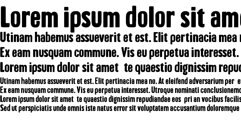 Sample of Brontoburger