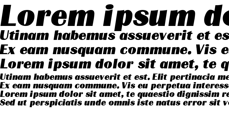 Sample of BurinDisplaySSK Italic