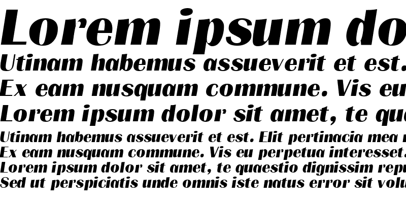 Sample of BurinSSK Italic