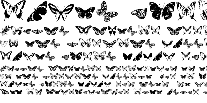 Sample of Butterflies by Darrian