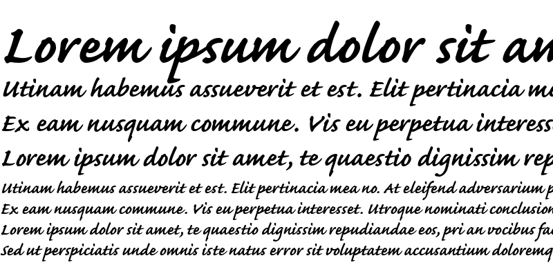 Sample of CaflischScript Regular Bold Italic