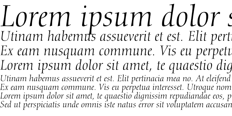 Sample of Calligraphic 810 Italic