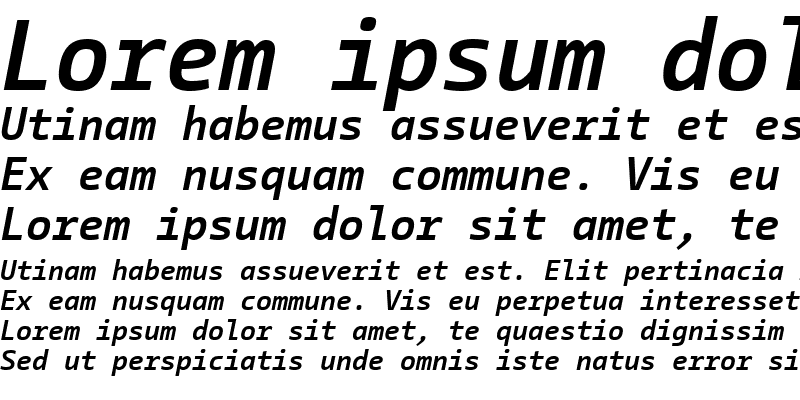 Sample of CamingoCode Bold Italic