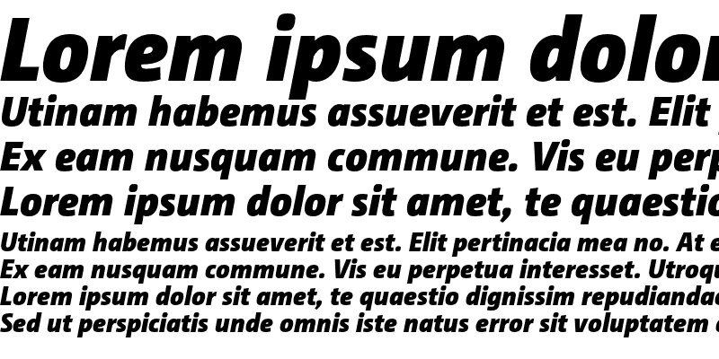 Sample of CamingoDos Pro Black Italic