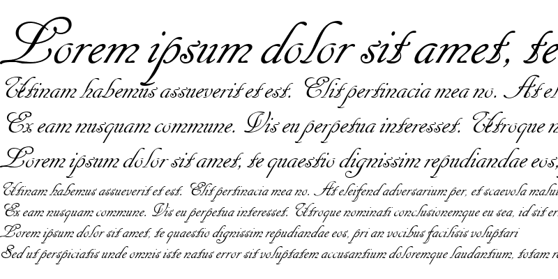 Sample of Cancellaresca Script Regular