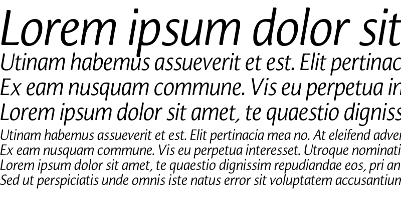 Sample of CarrefourSans Medium Italic