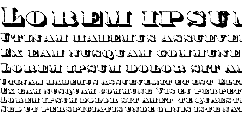 Sample of Century modern shadow