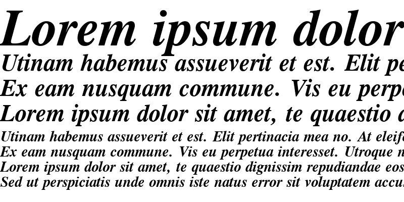 Sample of CG Times Cyr Bold Italic