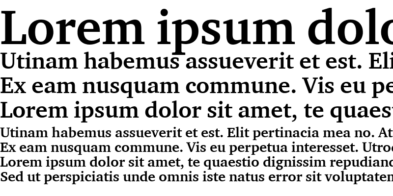 Sample of CharterITCBol