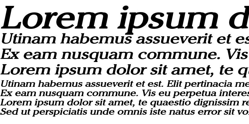 Sample of Chelsey Wide Bold Italic