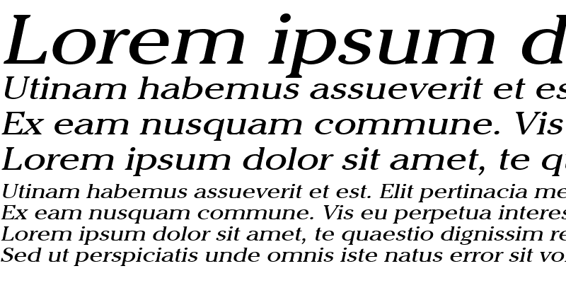 Sample of Chelsey Wide Italic
