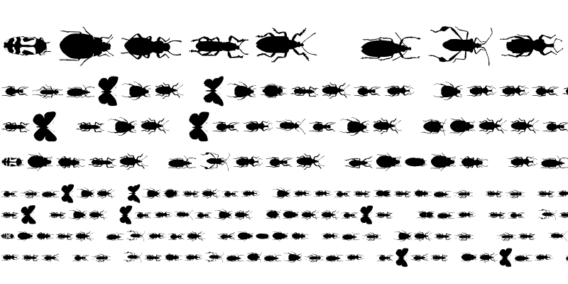 Sample of ChileanBugs