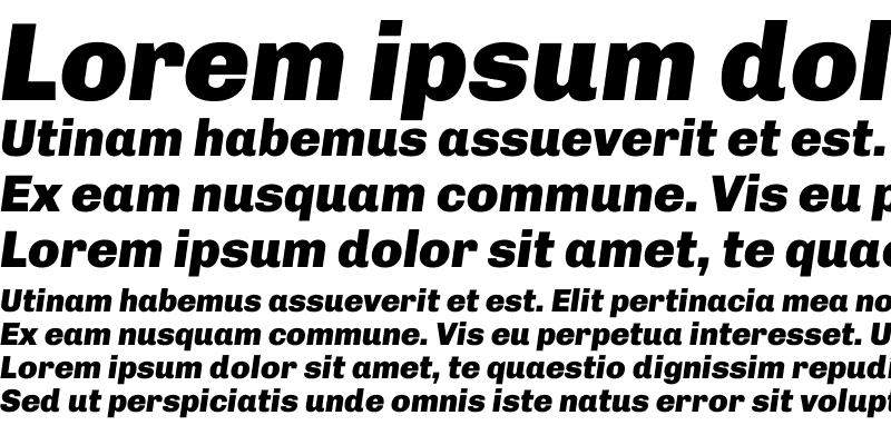 Sample of Chivo Black Italic