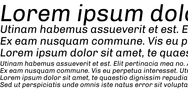 Sample of Chivo Italic