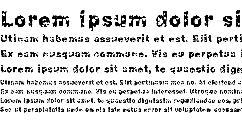 Sample of Chonky Regular