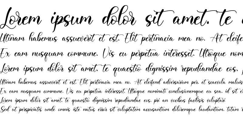 Sample of Clarista Regular