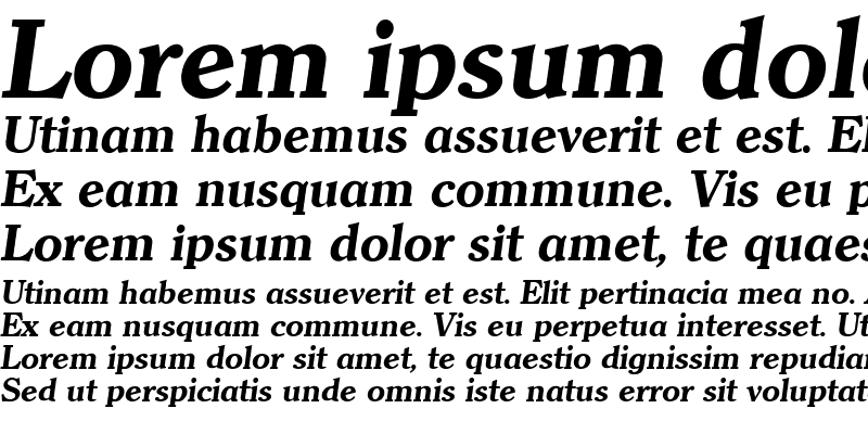 Sample of Clarity Serif Heavy SF Bold Italic