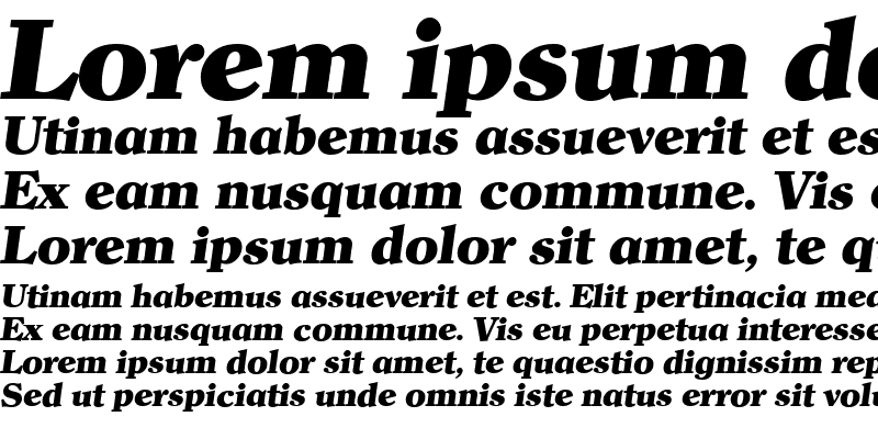 Sample of ClearfaceSerial HeavyItalic