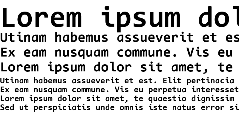 Sample of Code New Roman Bold