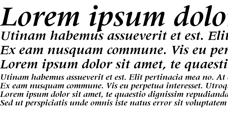 Sample of Coherent SSi Bold Italic