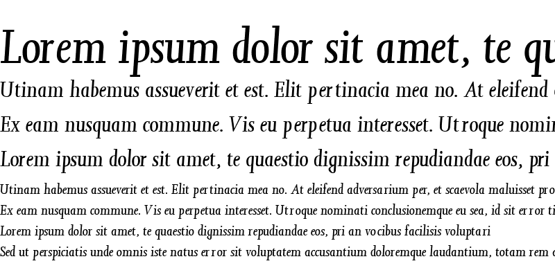 Sample of ConfirmaSSK Italic
