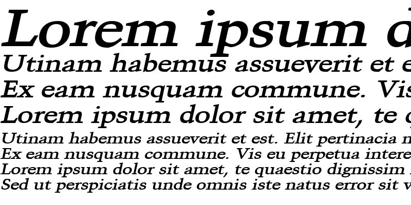 Sample of Congo Wide Bold Italic