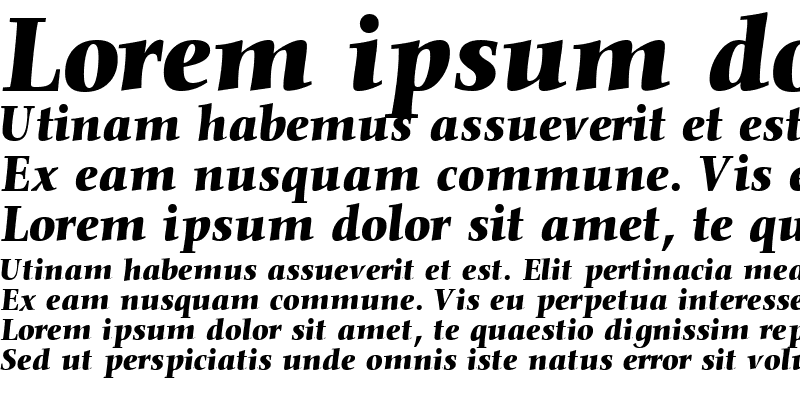Sample of ConquistaSSK Bold Italic