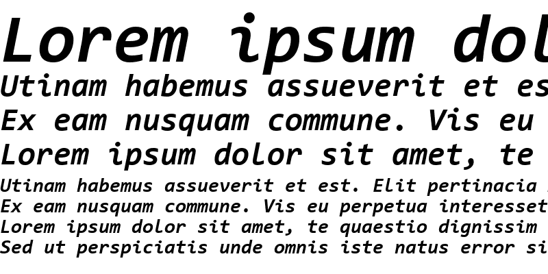 Sample of Consolas Bold Italic