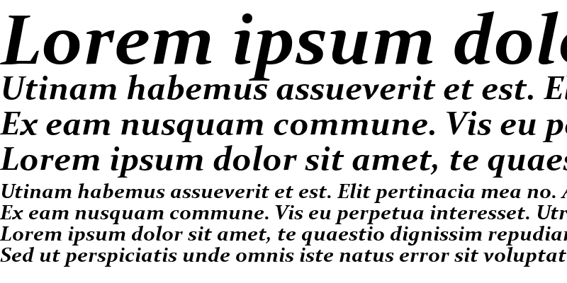 Sample of Constantia Bold Italic