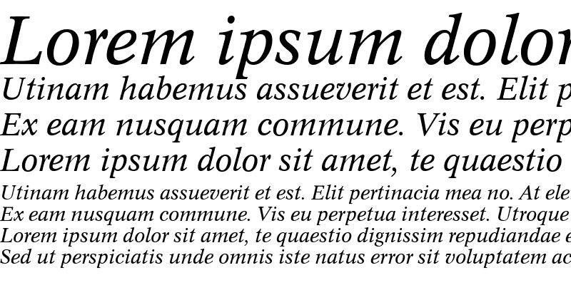 Sample of ContusTEEReg Italic
