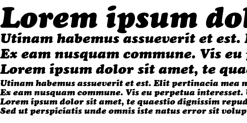 Sample of CooperBlaDEE Italic