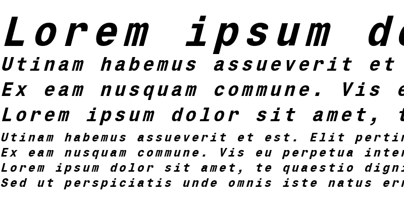 Sample of CorporateMonoBI Bold Italic