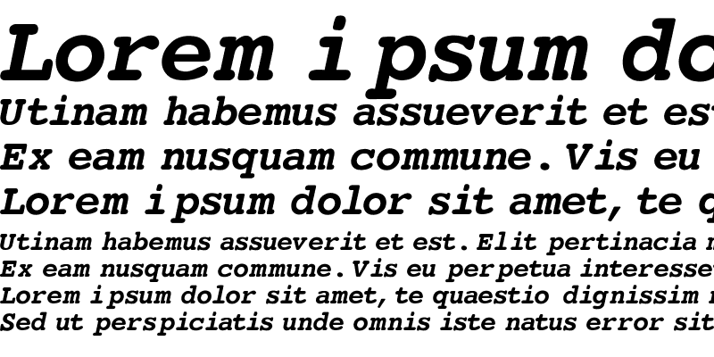 Sample of Courier-Bold-Italic
