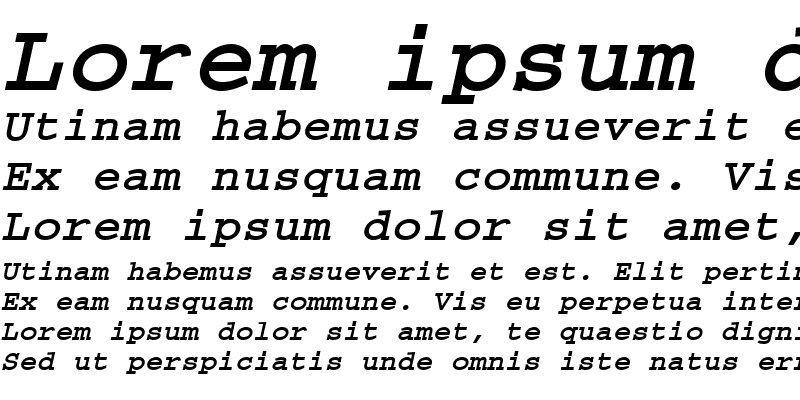 Sample of Courier Bold Italic