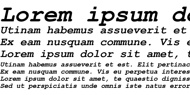 Sample of Courier New Cyr Bold Italic